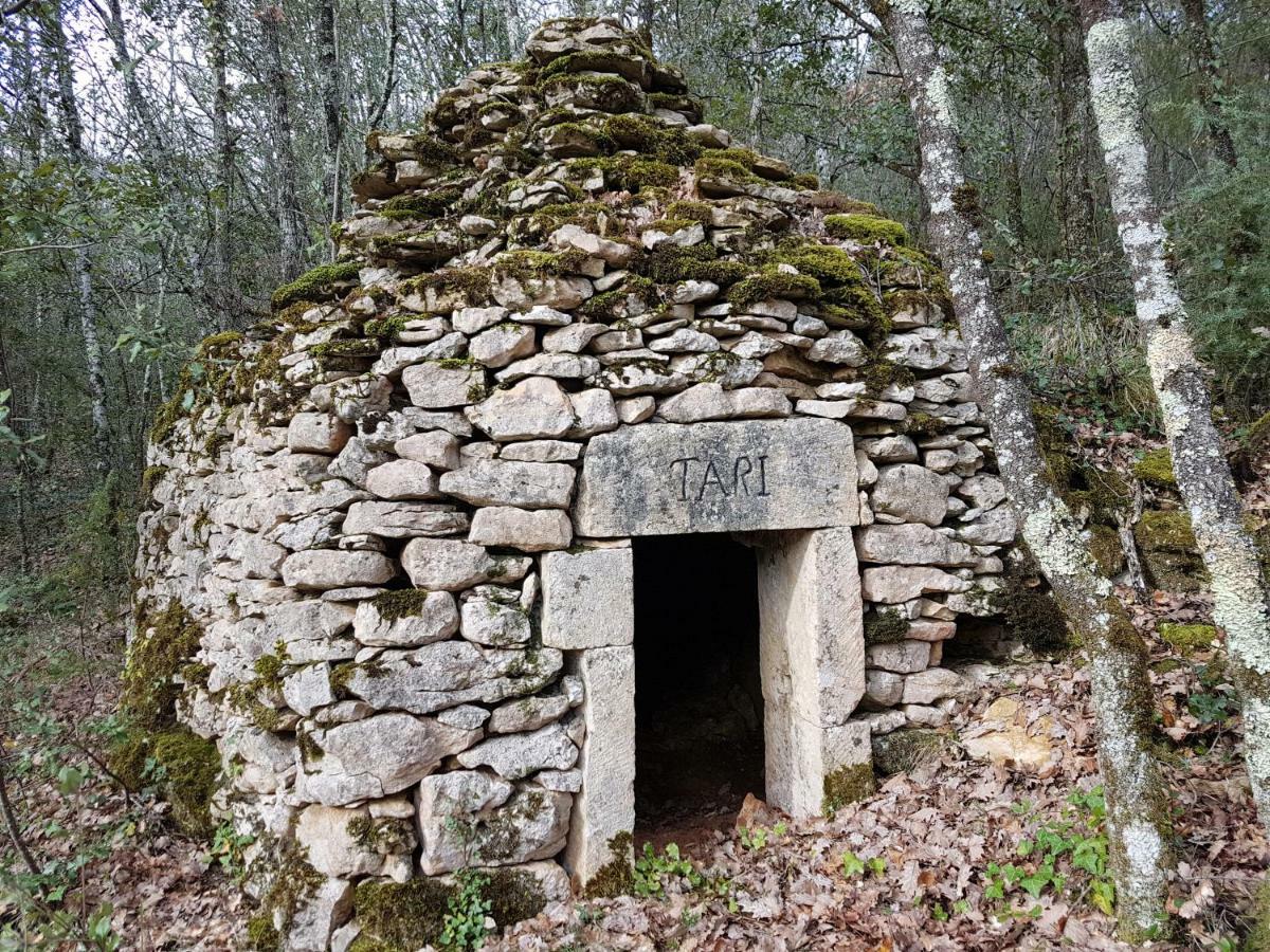 ויטראק La Maison De Tari מראה חיצוני תמונה